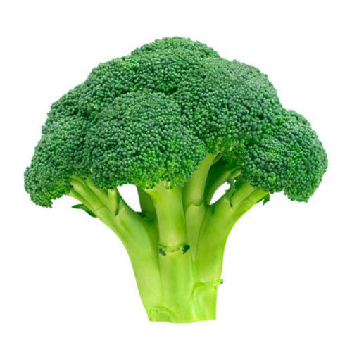 Organic Green Broccoli - Food Grade, 100% Maturity | Natural Taste, Non Harmful, Ideal for Cooking and Human Consumption