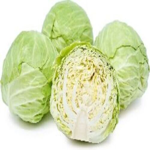 Healthy And Natural Fresh Cabbage Shelf Life: 1 Week