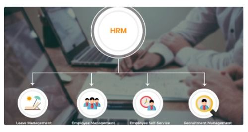 Online Hrm And Accounts Software