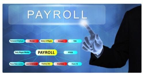 Payroll Software Online