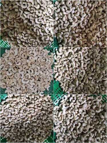 Export Quality Cashew Nuts W210
