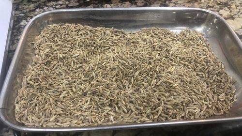 Pure Dry Cumin Seeds