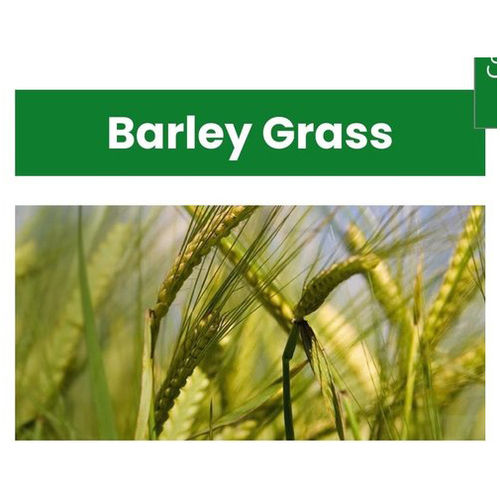 Organic Barley Grass Powder