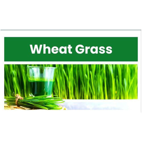 Organic Wheat Grass Powder