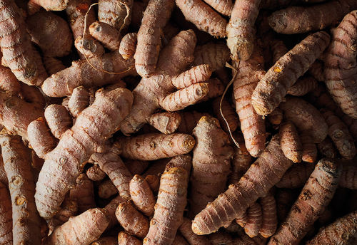 Dried Raw Turmeric Finger