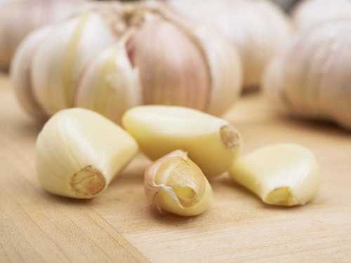 Fresh White Garlic