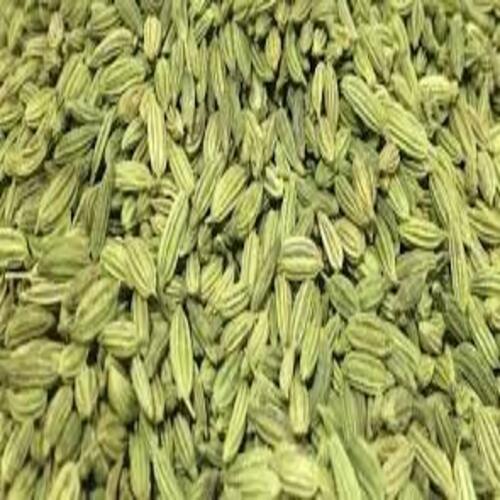 Healthy and Natural Green Fennel Seeds