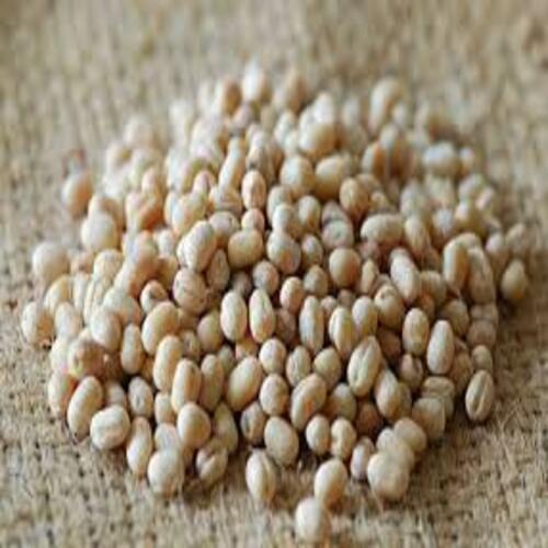 Healthy And Natural Whole Washed Urad Dal Grain Size: Standard