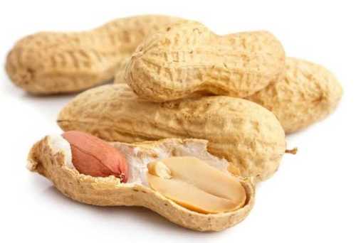 Human Consumption Dried Peanut