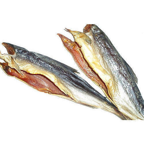 Seafood Fish