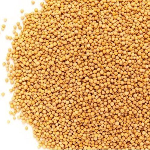 Organic Healthy And Natural Yellow Mustard Seeds