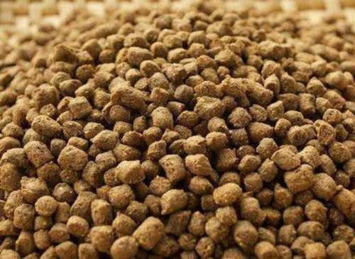 Brown High Nutrition Fish Feed