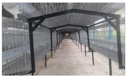Broiler Breeder Conventional Cages (Grower) Male