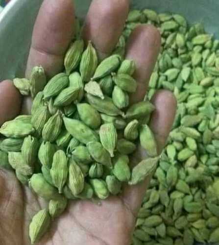 Green Cardamom - Whole, Bold Variety Above 6mm | Natural Dry Spices with 12 Months Shelf Life, Best Grade Quality