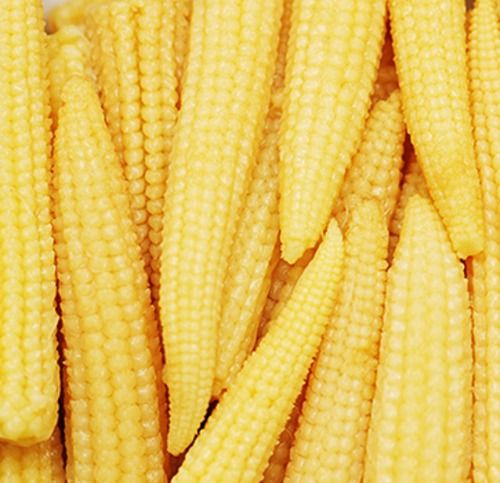 Natural Fresh Organic Peeled Baby Corn