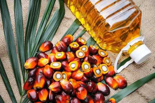 Light Yellow Palm Oil