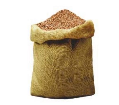 Food Grade Organic Wheat 