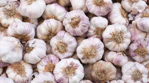 Fresh Garlic with No Preservatives