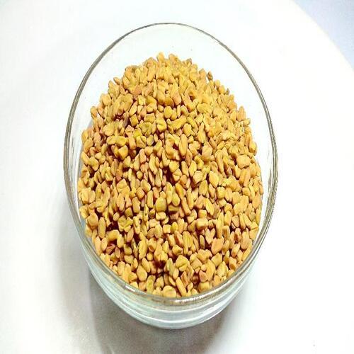 Yellow Healthy And Natural Fenugreek Seeds