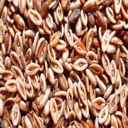 Brown Healthy And Natural Psyllium Seeds