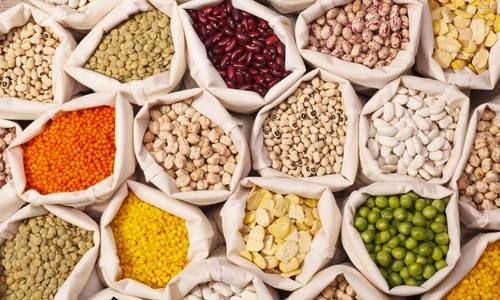 Indian Origin Mix Pulses