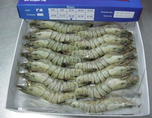 Vanamei Shrimps And Black Tiger Shrimps