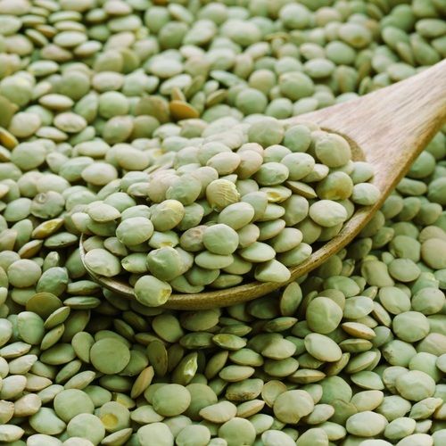 Healthy and Natural Green Lentils