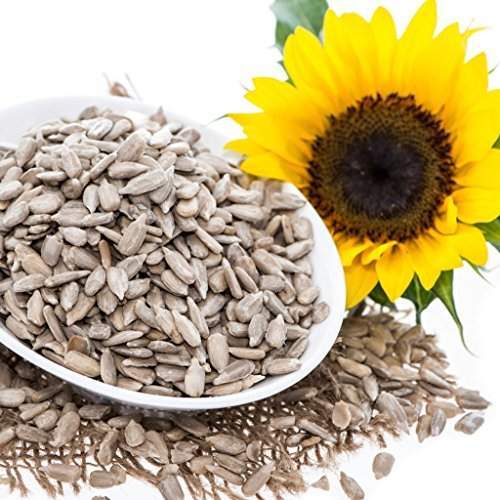 Healthy and Natural Sunflower Seeds