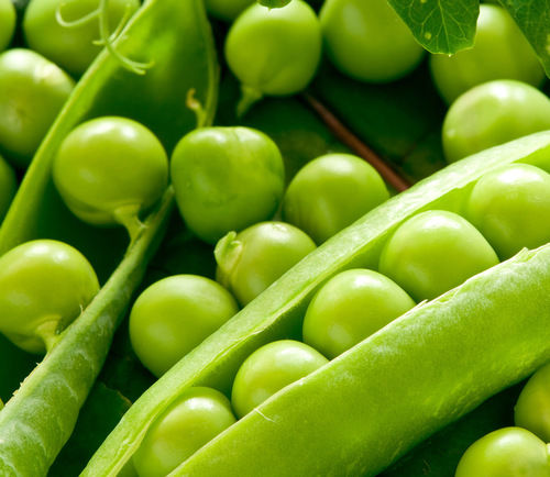 Common Fresh Frozen Green Peas