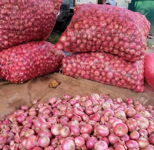 Preserved High Quality Fresh Red And White Onion