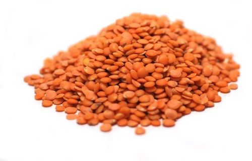 New Crop Red And Green Lentils Beans