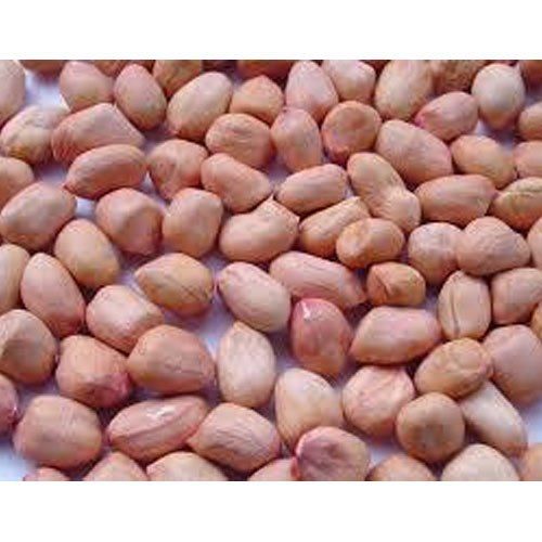 Fine Quality Raw Groundnuts