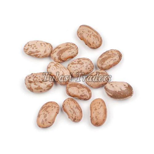 Healthy and Natural Pinto Beans