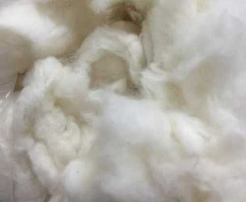 Raw White Recycled Cotton Comber