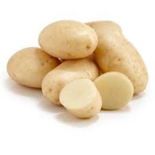 Healthy and Natural Fresh Big Potato