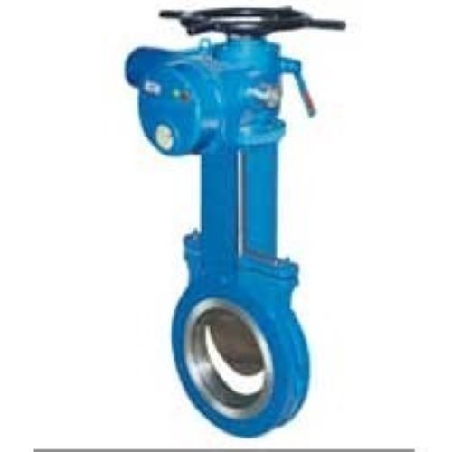 Blue Motorized Gate Valve