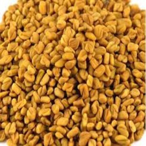 Healthy and Natural Bold Fenugreek Seeds