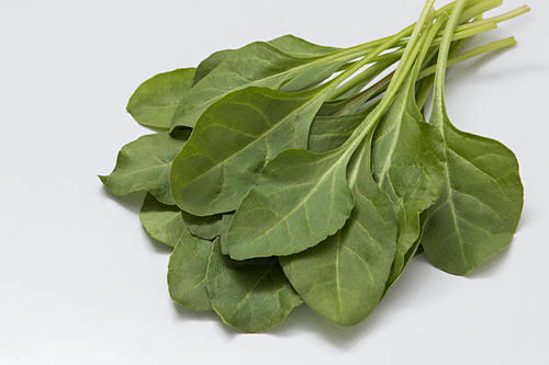 Oval A Grade Fresh Green Spinach