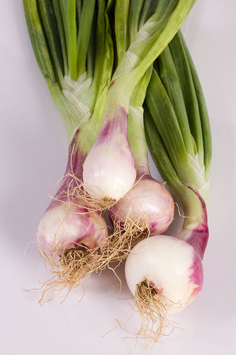 Natural Fresh Spring Onion