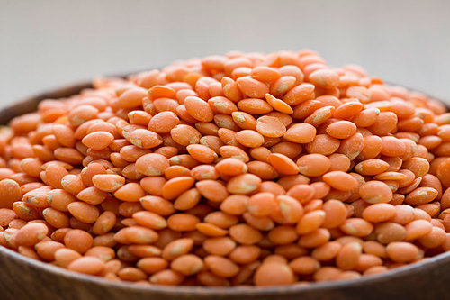 Common Red Lentil Pulses