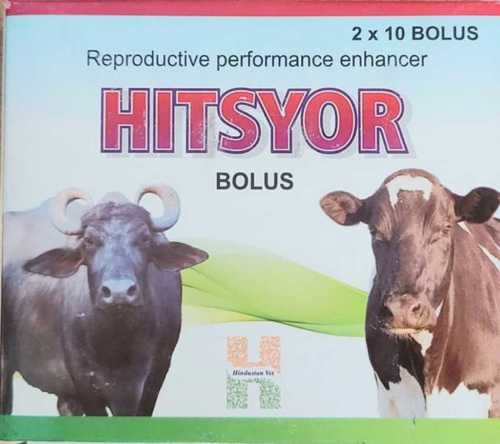 Veterinary Heat Bolus