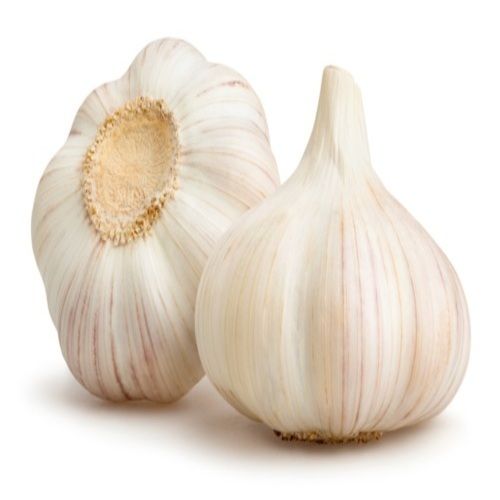 Healthy and Natural Garlic Bulbs