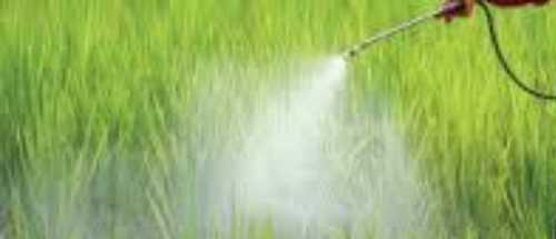 Chemical Pesticides For Agriculture