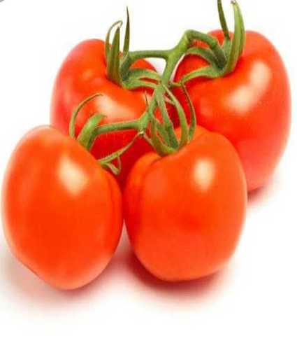 Round Fresh Tomatoes For Good Health