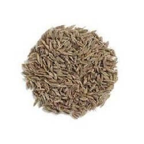 Indian Origin Cumin Seeds