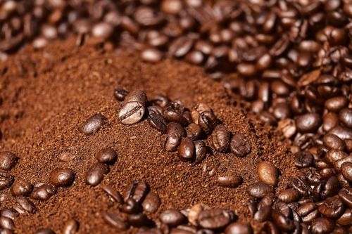 Trelish Filter Coffee Powder - Strong Blend
