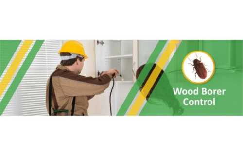 Wood Borer Control Services