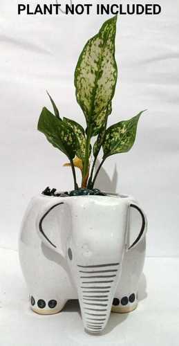 Designer Ceramic Flower Pot  Bottom Diameter: 12  Centimeter (Cm)