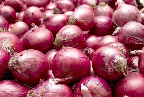 Fresh Red Onion