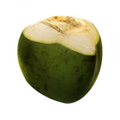 Highly Nutritious Green Coconut